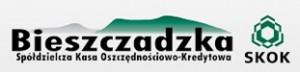 bieszczadzka-skok